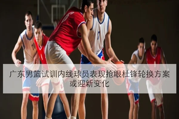 广东男篮试训内线球员表现抢眼杜锋轮换方案或迎新变化