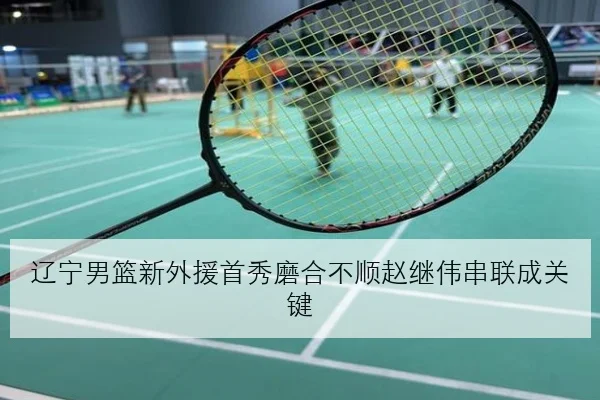 辽宁男篮新外援首秀磨合不顺赵继伟串联成关键